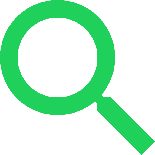 Audit Icon