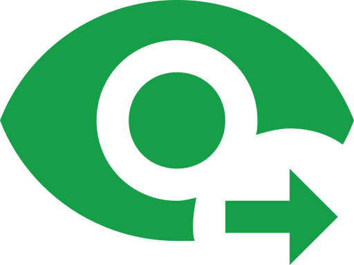 Attention to Detail Icon